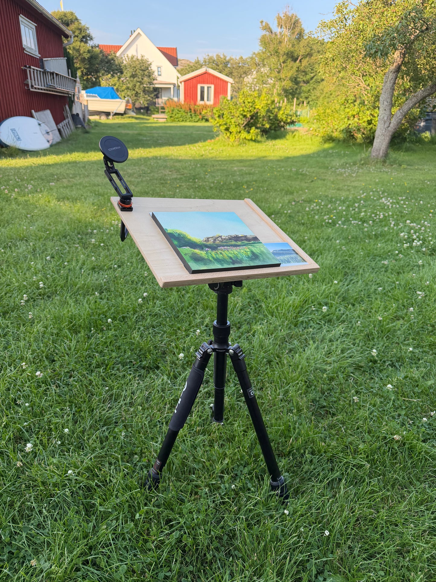 Tjørn