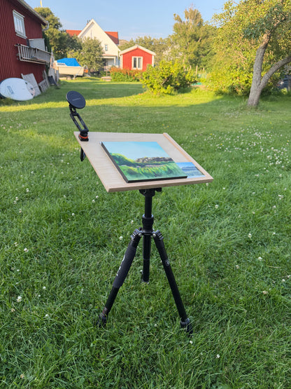 Tjørn
