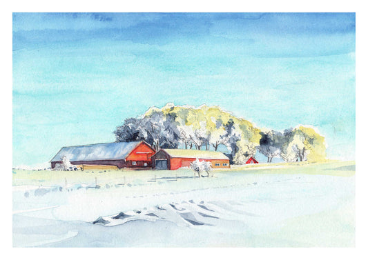 Swedish Winter Landscape